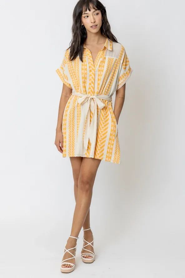 Lemon Drop Embroidered Mini Dress