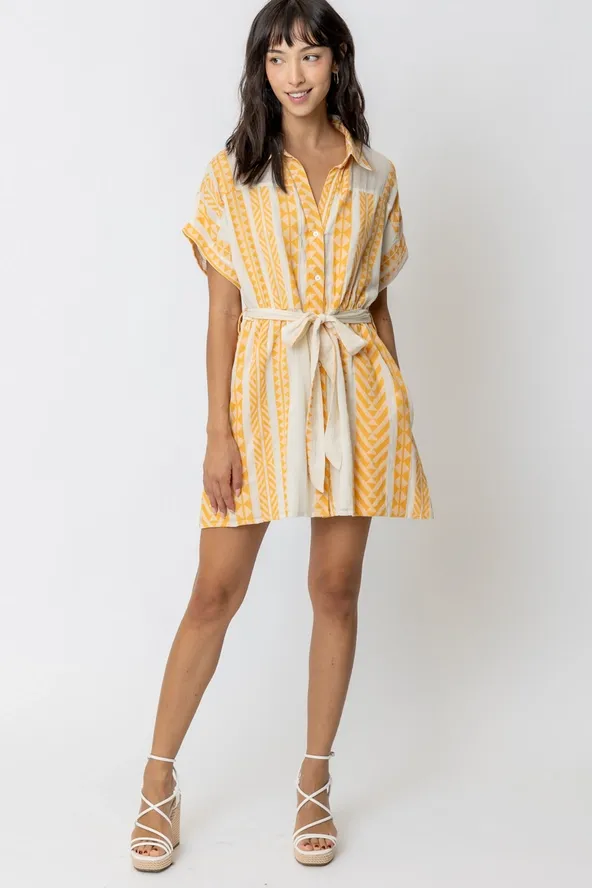 Lemon Drop Embroidered Mini Dress